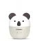 koala_ultrahangos_illoolaj_parologtato