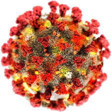 Illóolajok és a koronavírus